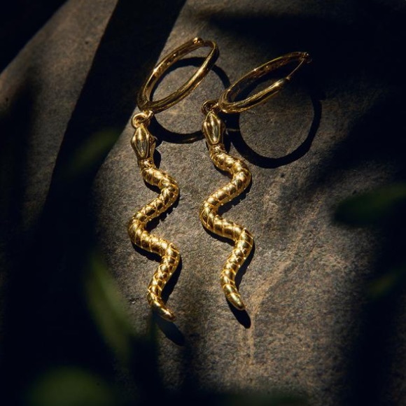 Jewelry - Snake small hoop earrings